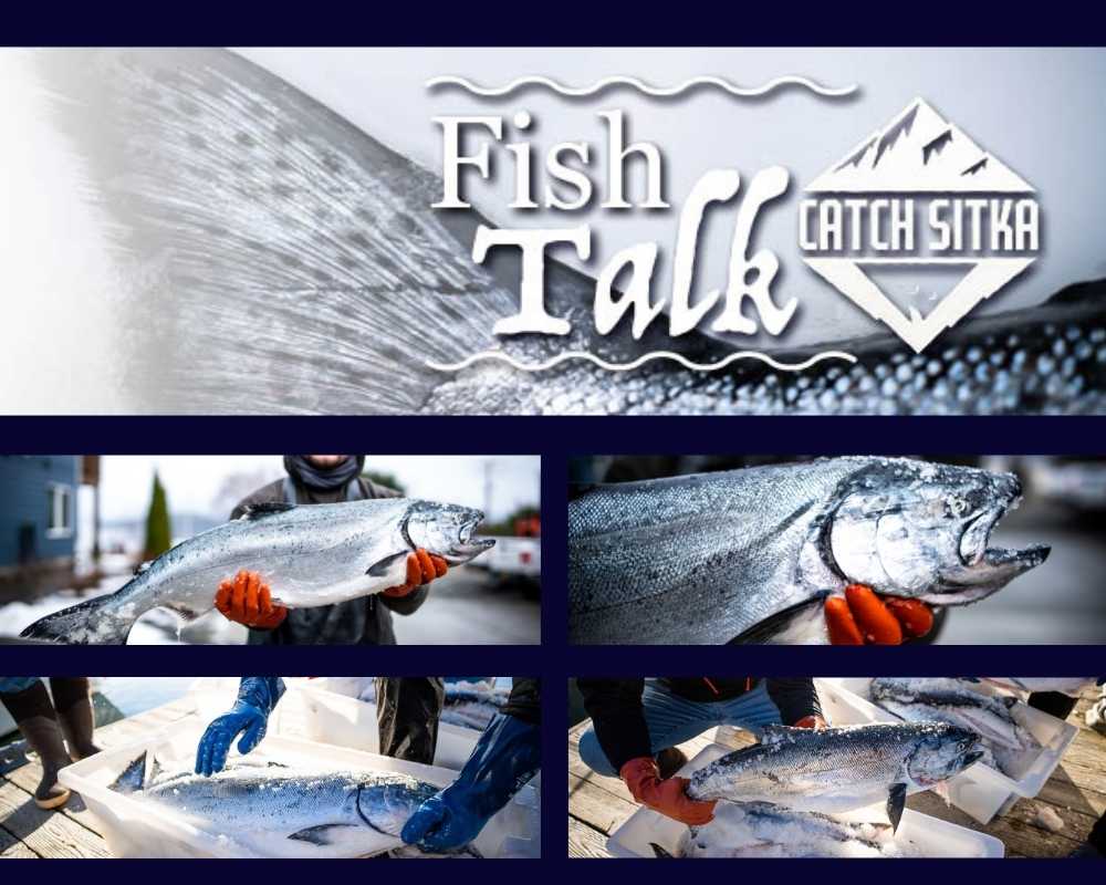 Fish Talk: How It's Caught: Salmon Trolling Season – Catch Sitka
