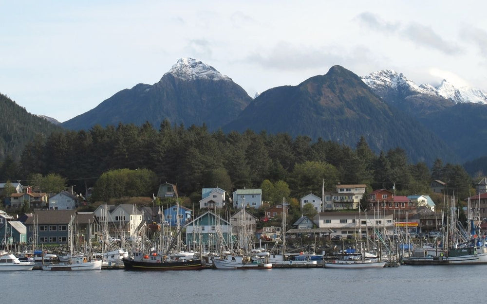 Why Catch Sitka Seafoods?